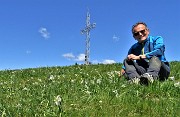 LINZONE (1392 m) da Roncola, protagonisti narcisi e capre orobiche (17magg21)